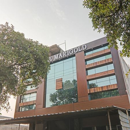 Collection O Hotel Marigold Kanpur Luaran gambar